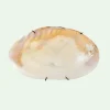 Bali Shell Wall Object