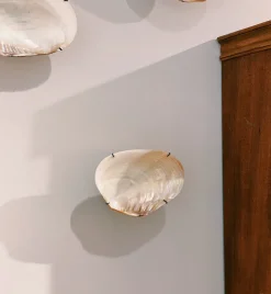 Bali Shell Wall Object