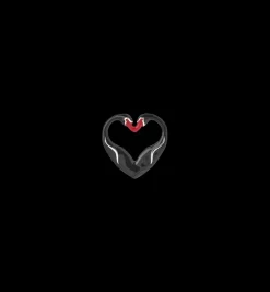 Black Swan Charm