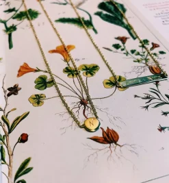 Coin Necklace 14K