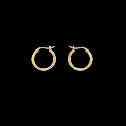 Dazzling Ring Earrings