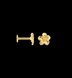 Flower Boy Piercing Front 14K