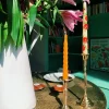 Flower Candle - Set of 2