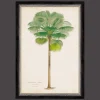 G&C Palm Painting