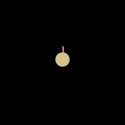 Medium Coin Charm 14K