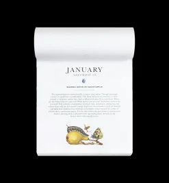 MoonSisters Moon Calendar EN