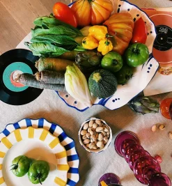 Shell Tray