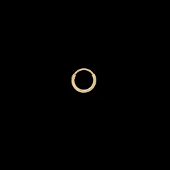 Single Plain Ring Earring