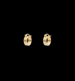 Small Poetic Ring Earrings
