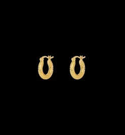 Small Spiral Hoop Earrings