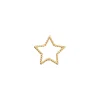 Tangled Star Charm 14K