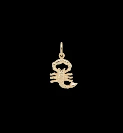 Zodiac Charm 14K