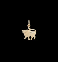 Zodiac Charm 14K